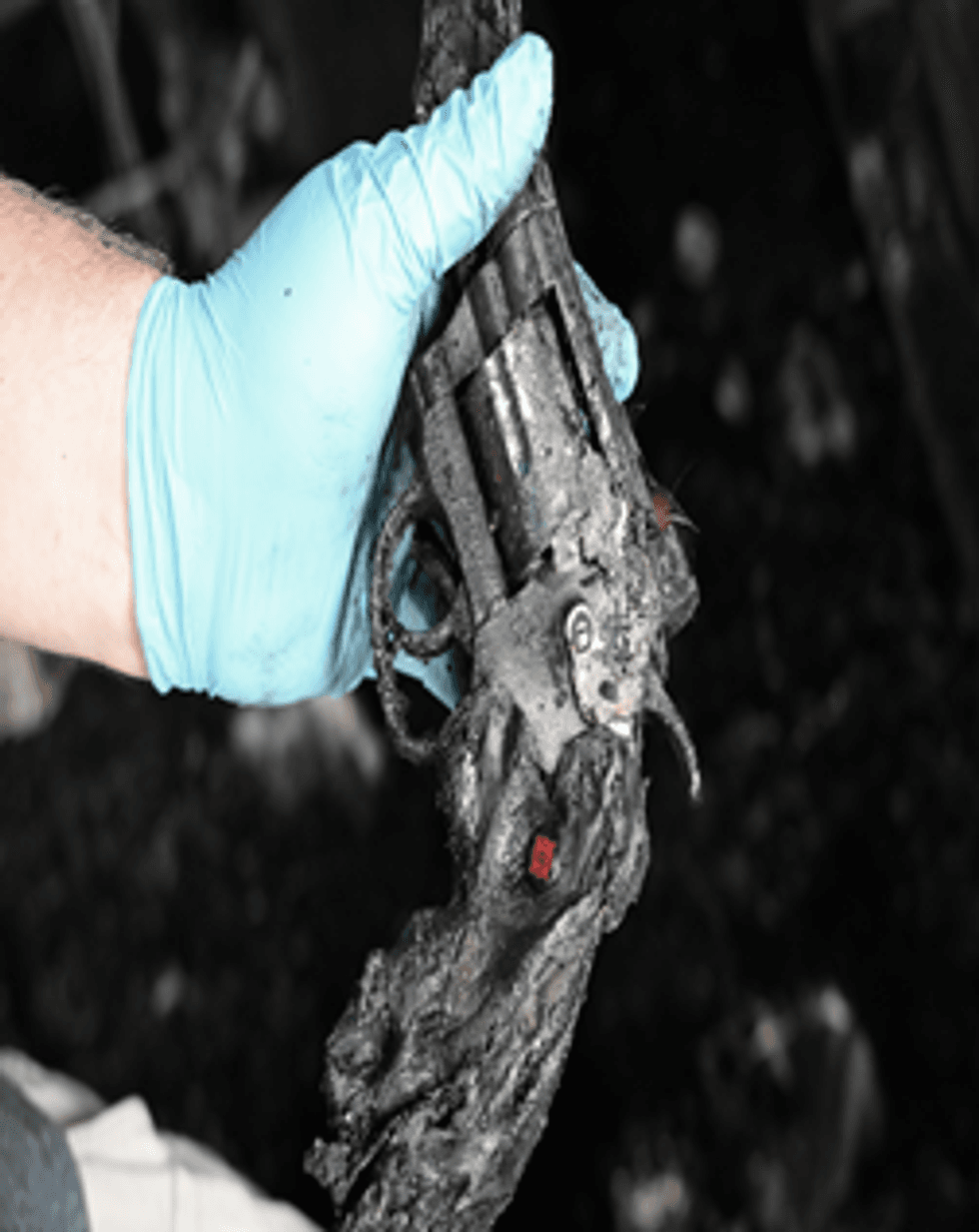 Firearm located in garage