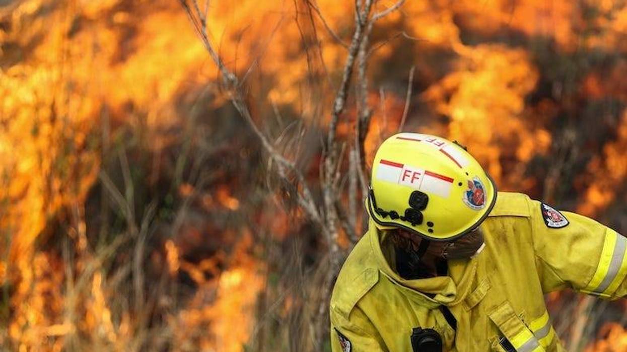 Firefighter, Australia, New South Wales, Bushfire, Trees, Forest, Fire, 2019