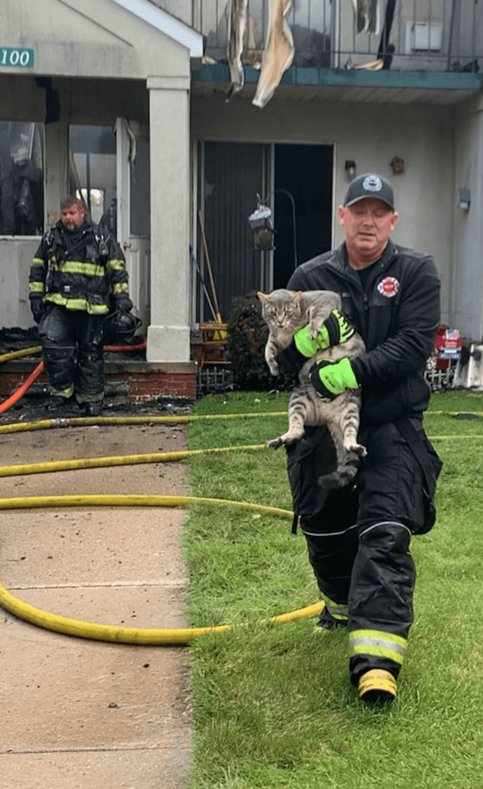 Firefighter carrying cat