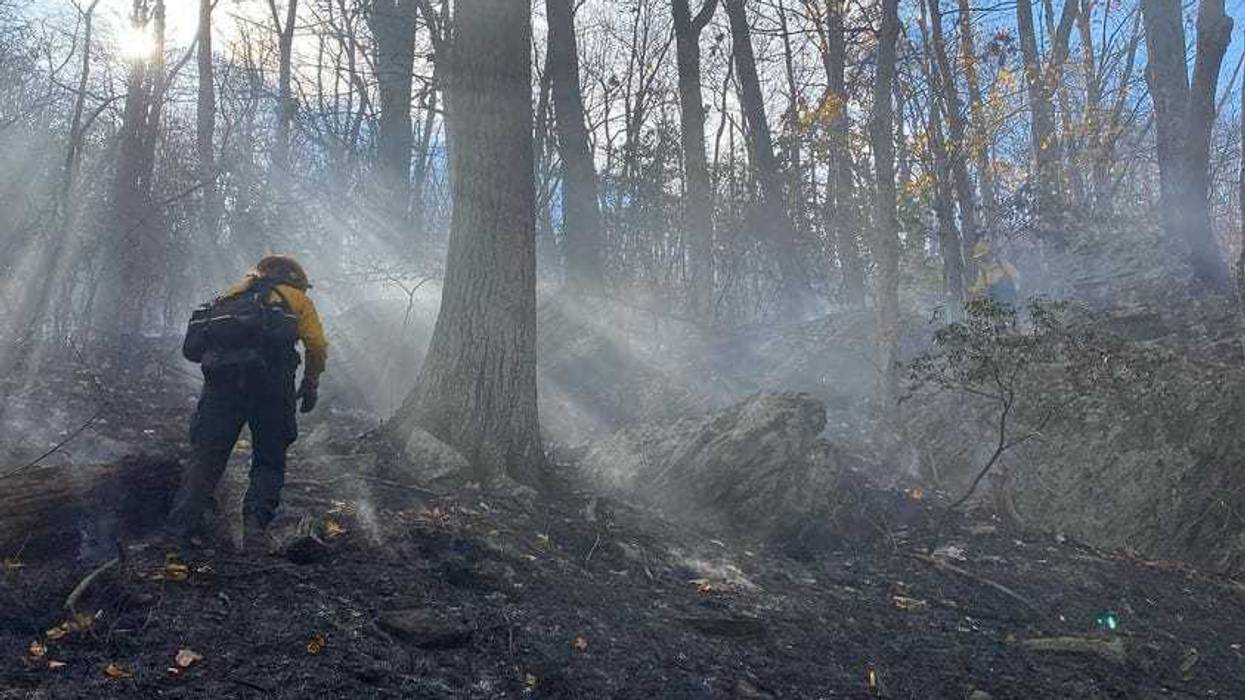 Firefighter in woods