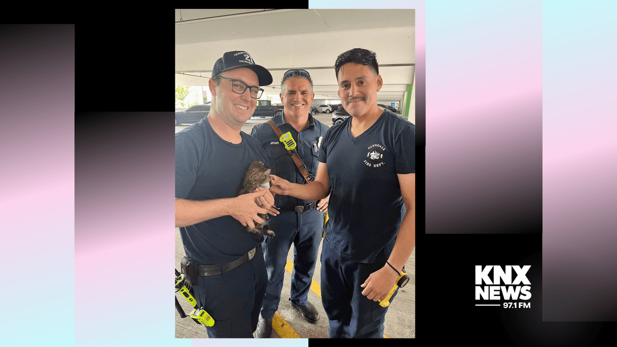 Firefighters holding kitty