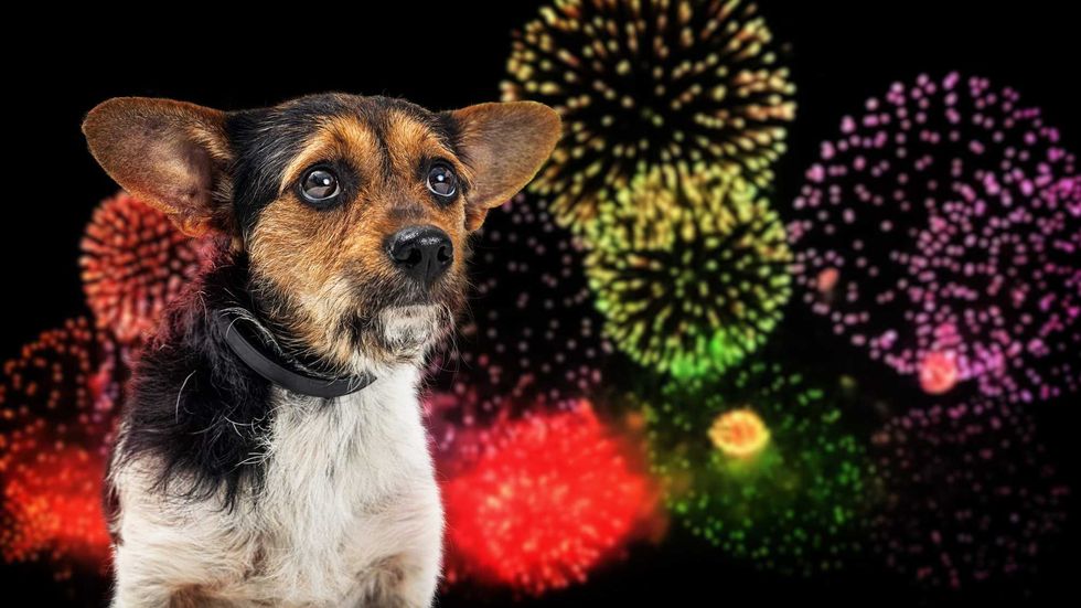 Fireworks are scary