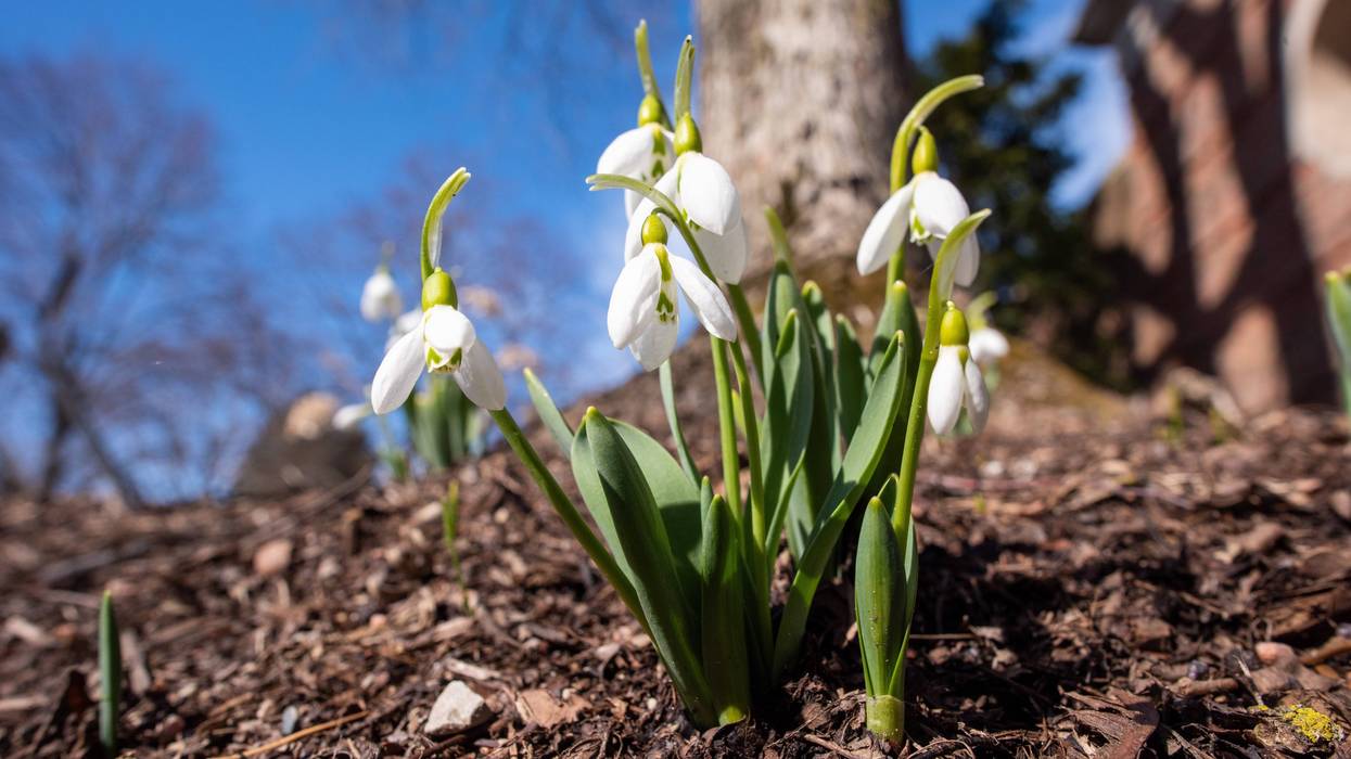 first day of spring
