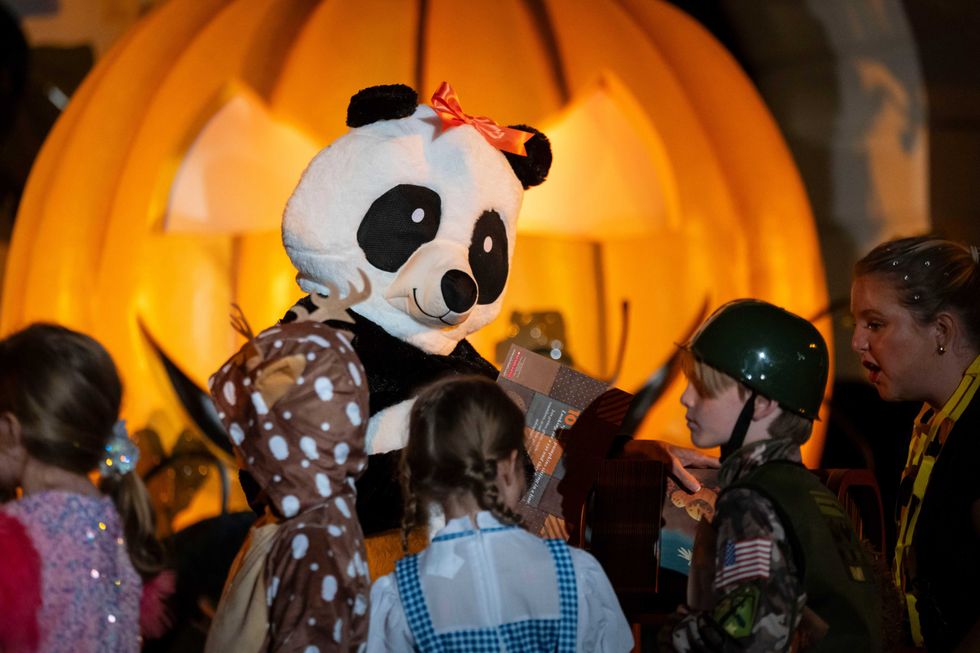 First lady Jill Biden wearing a panda suit
