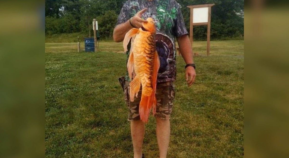 fish in Missouri lake