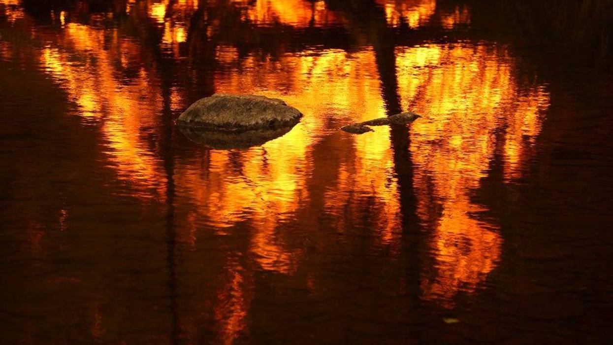 Flames are reflected in the Feather River as the Dixie Fire burns in the area on July 26, 2021 near Quincy, California. The Dixie Fire is currently the largest wildfire in California.