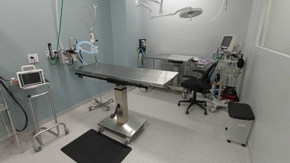 Flatbush Cats spay-neuter surgery suite