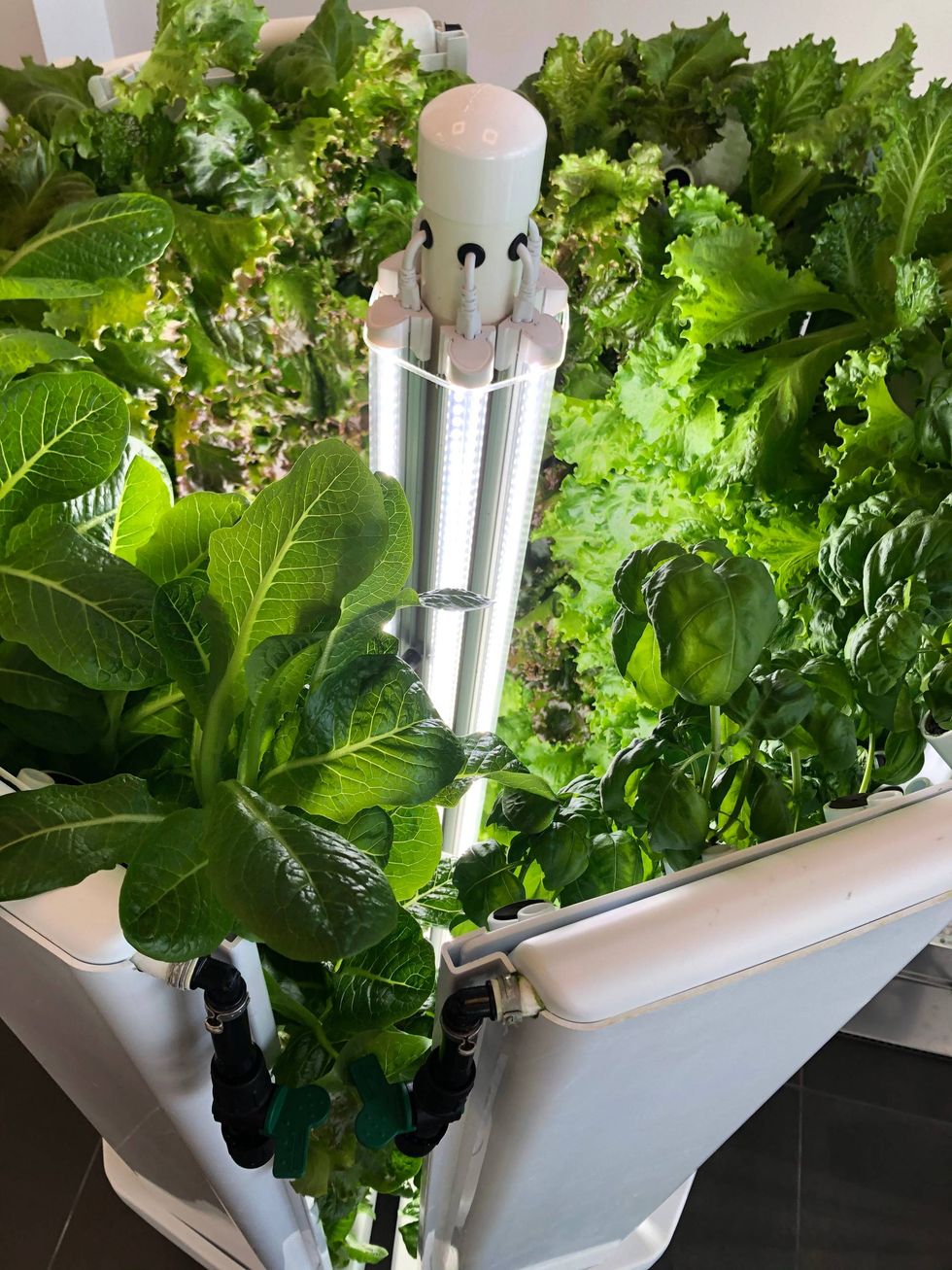 Flex Farm hydroponic system at Operation Food Search