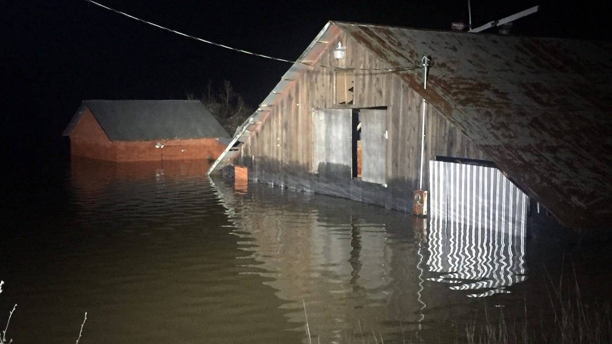 Flooded barn near Guerneville February 28, 2019