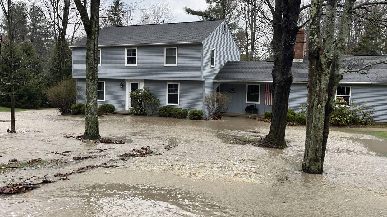 Storm Aftermath: Sump, gutter, storm drain 101