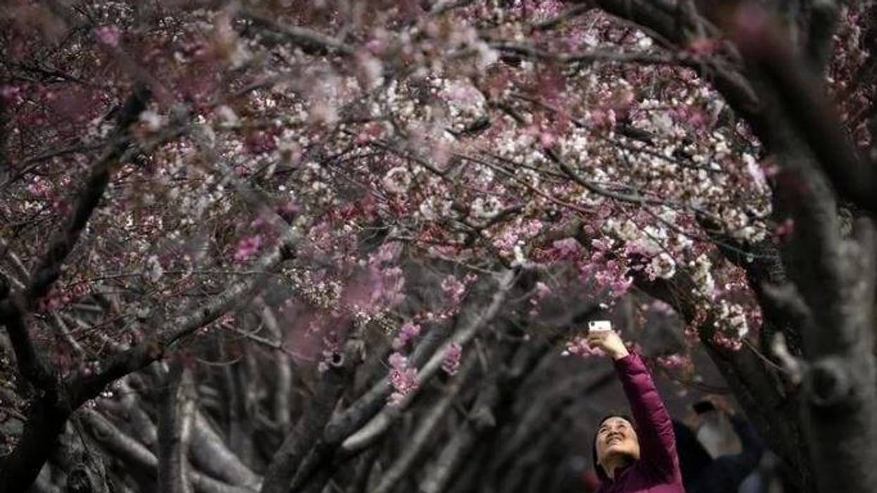 flores en nyc