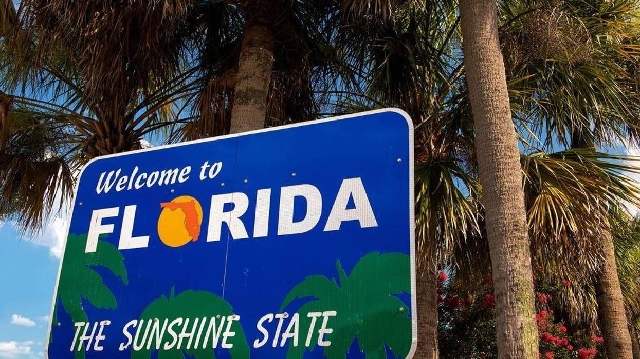 Florida always seems to have the craziest news stories