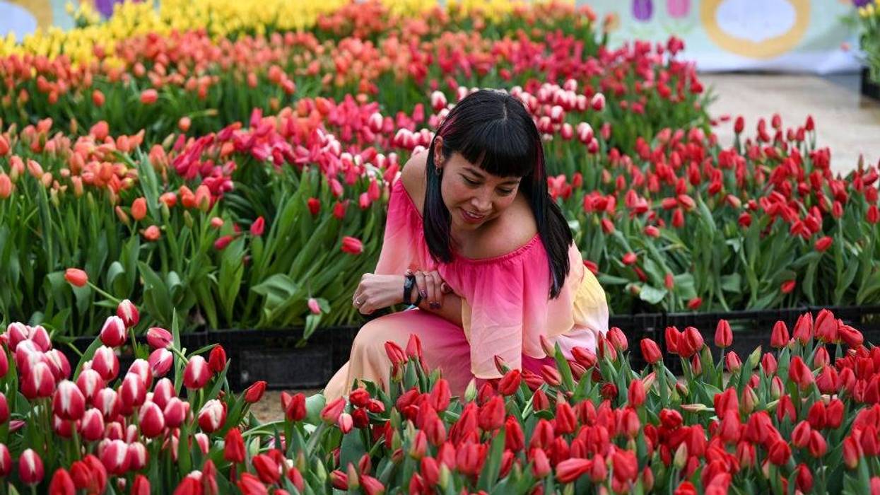 Flower Bulb Day San Francisco