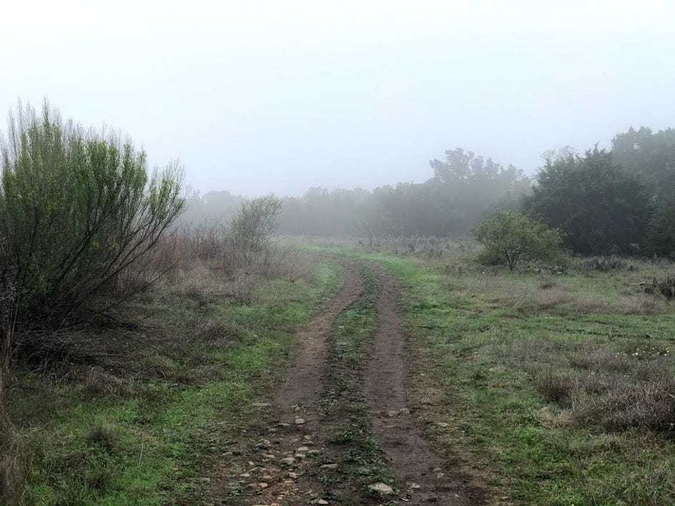 foggy