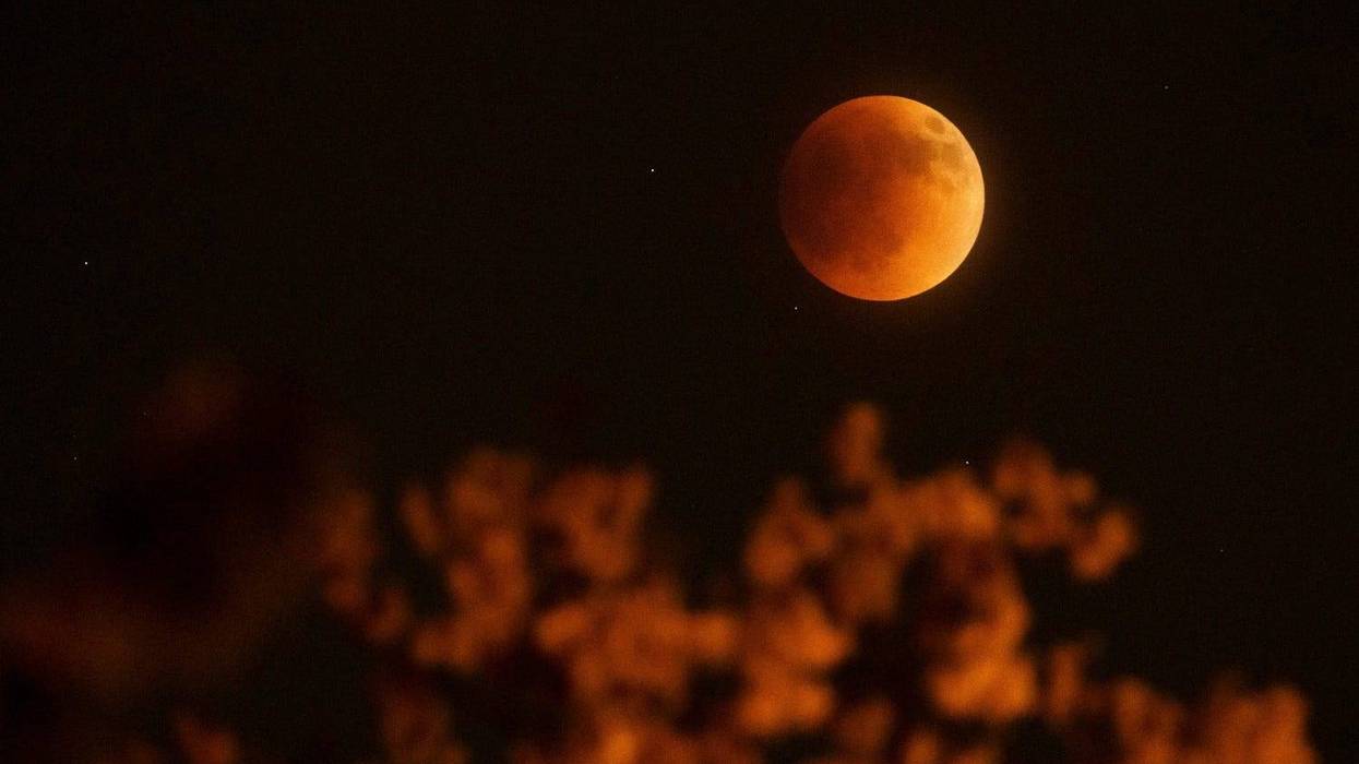 Following close on the heels of October's Hunter Moon, the final lunar eclipse of the year will cast its shadow over Michiganders the morning of Election Day, astronomers say.
