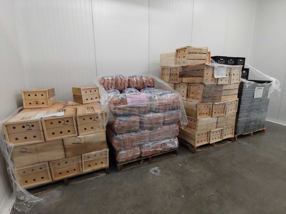 food bank