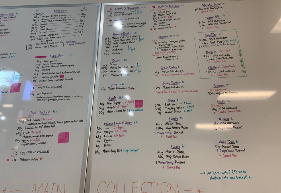 Food for the animals is prepared according to specific dietary requirements.