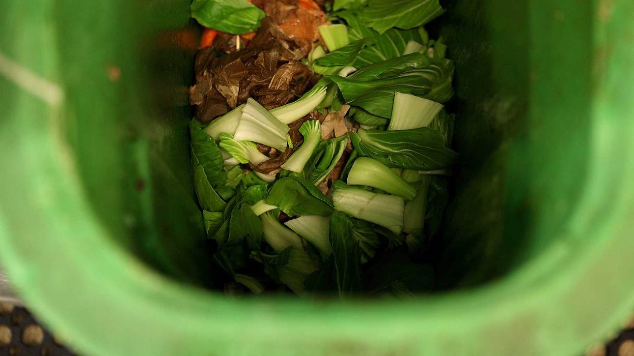 Food scraps are seen in a compost bin