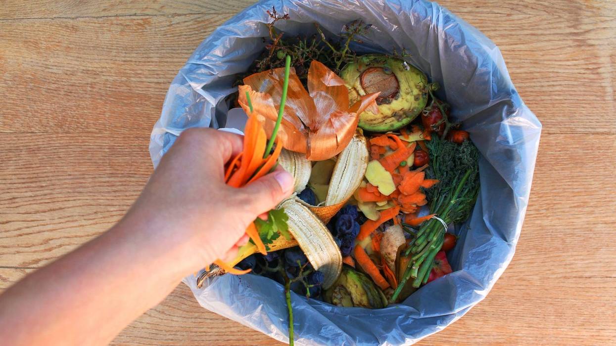 food scraps