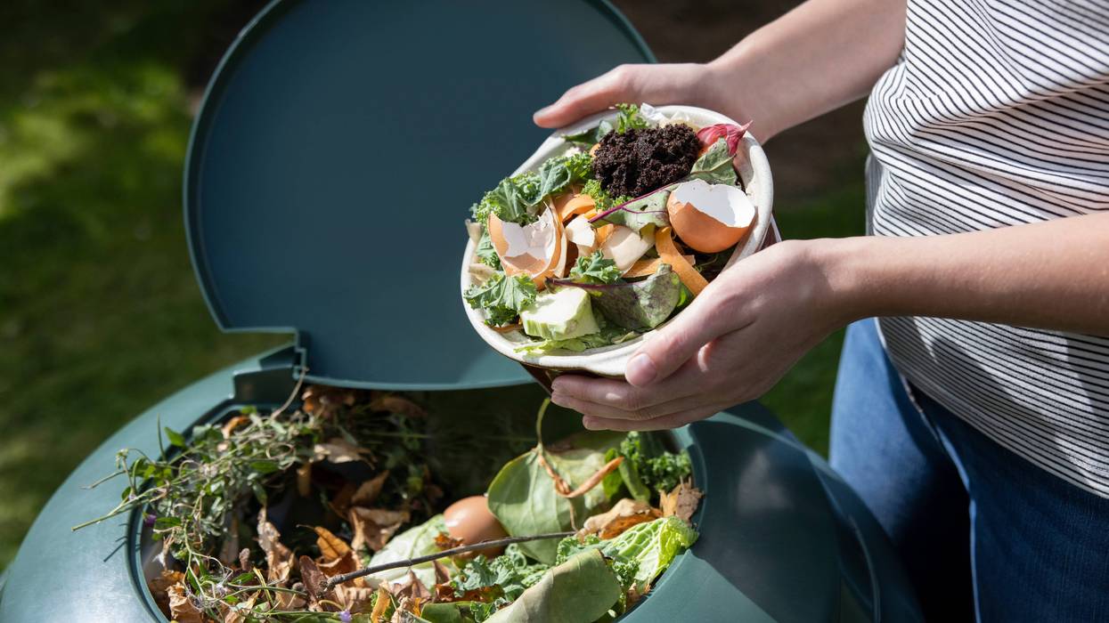 food waste