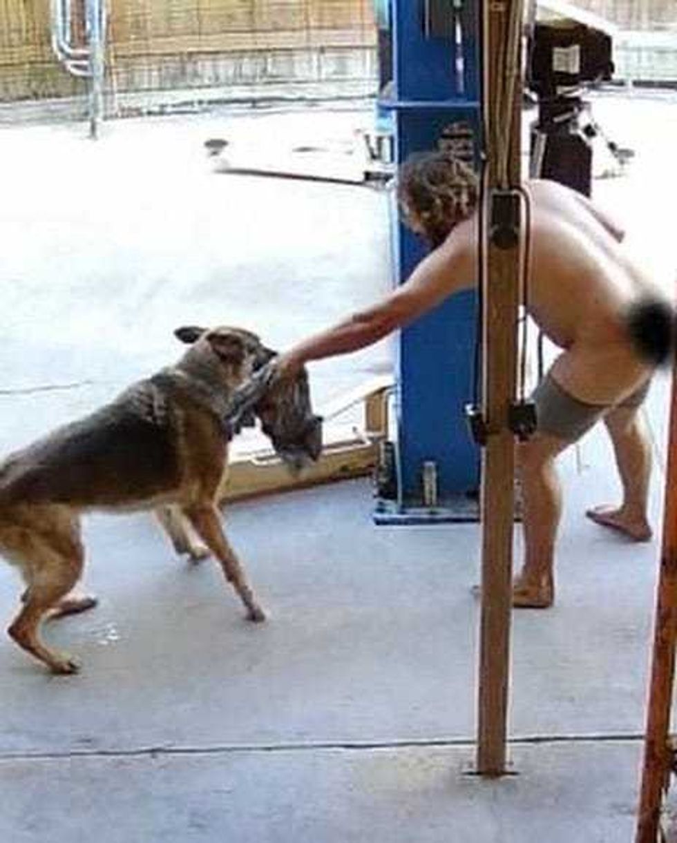 Footage of a Louisiana man who allegedly tried to sexually abuse dogs after trespassing.