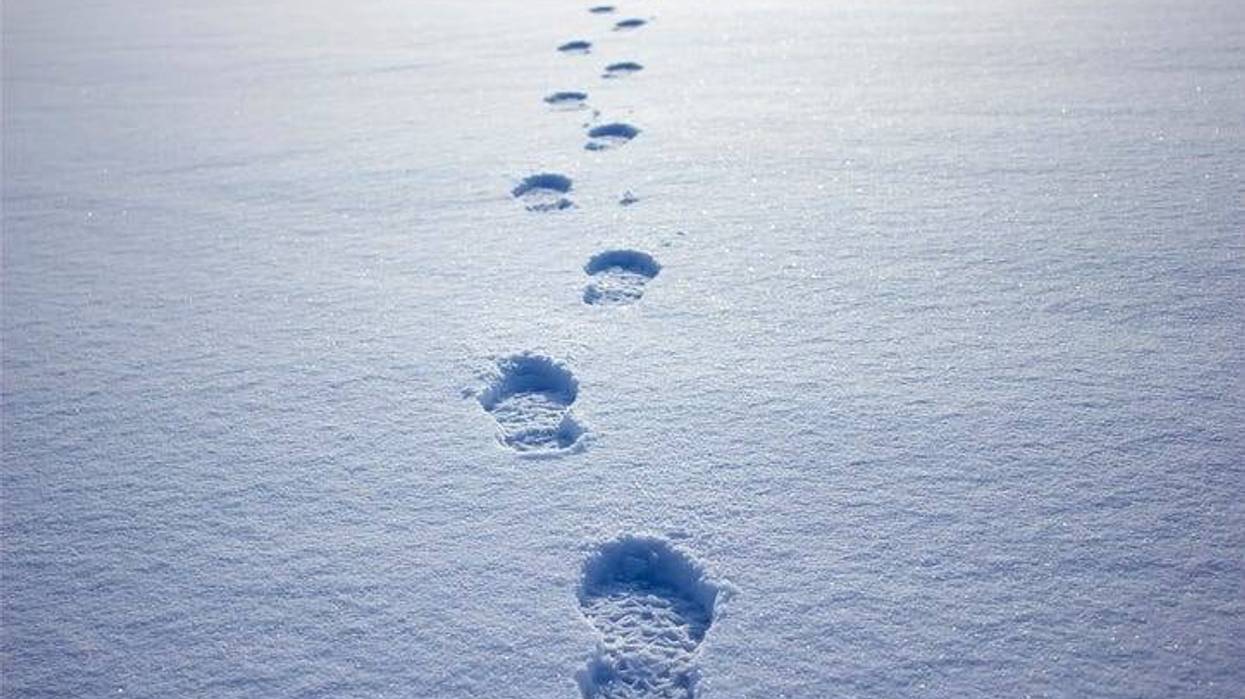 footprints in snow