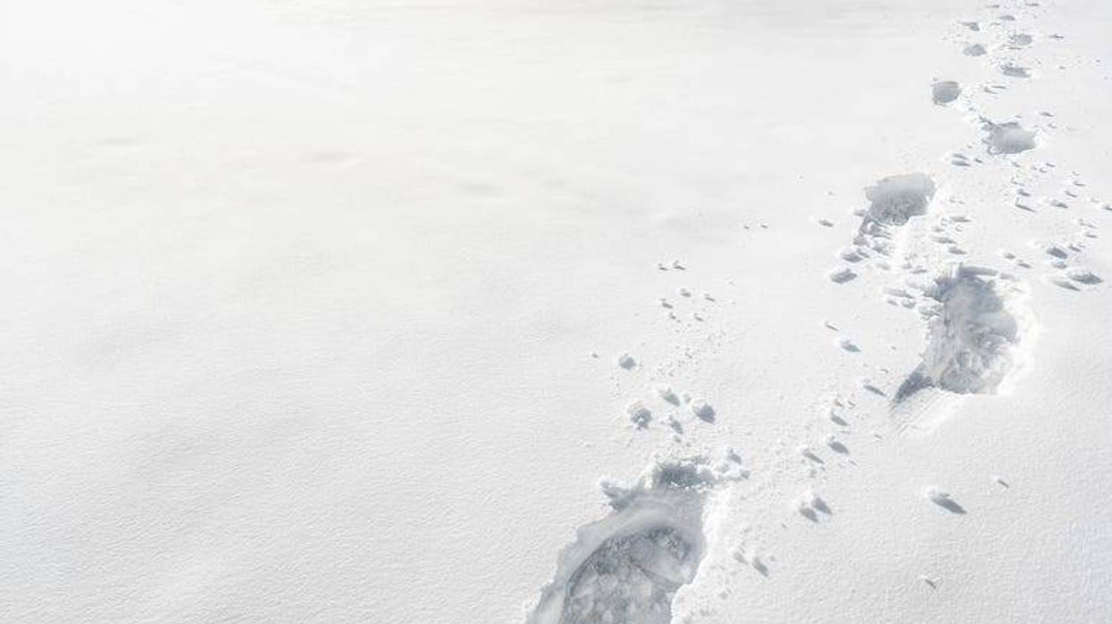 Footprints in the snow