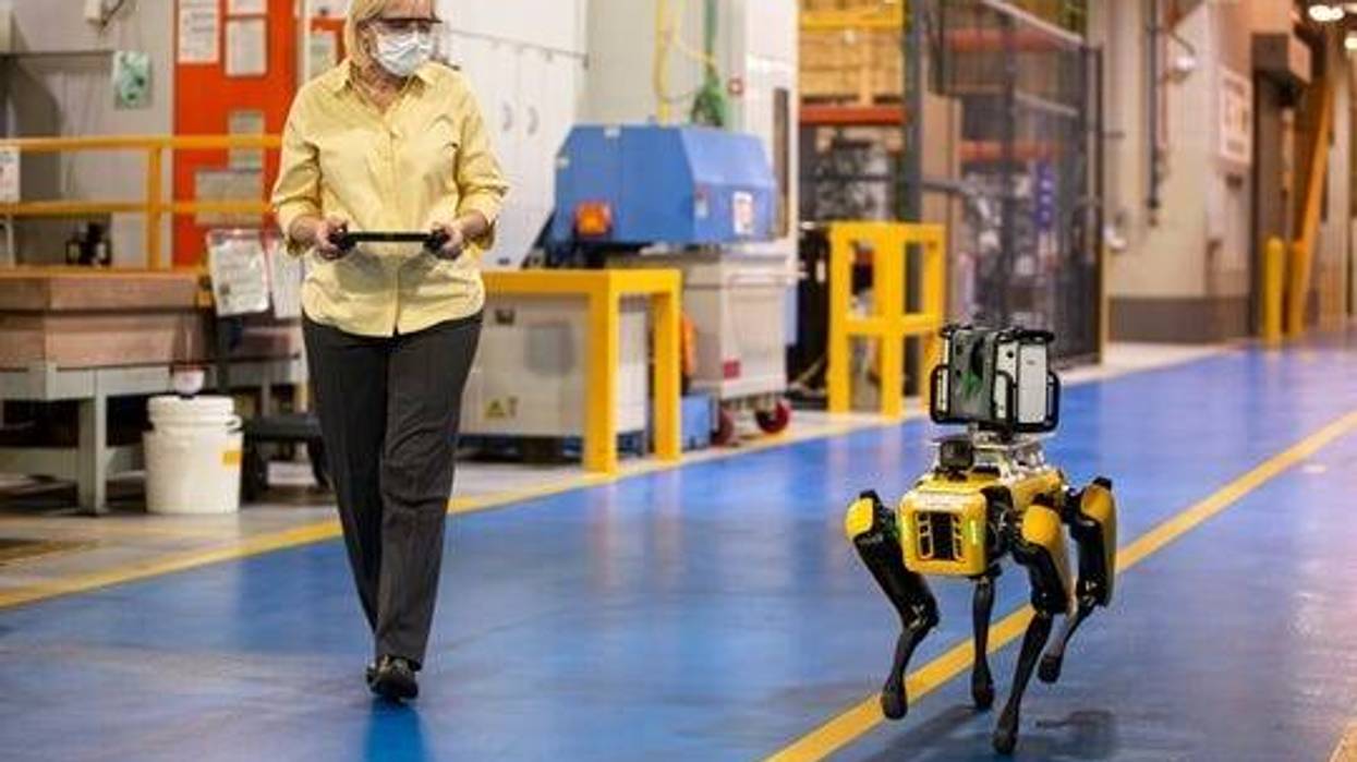 Ford hires a robot dog