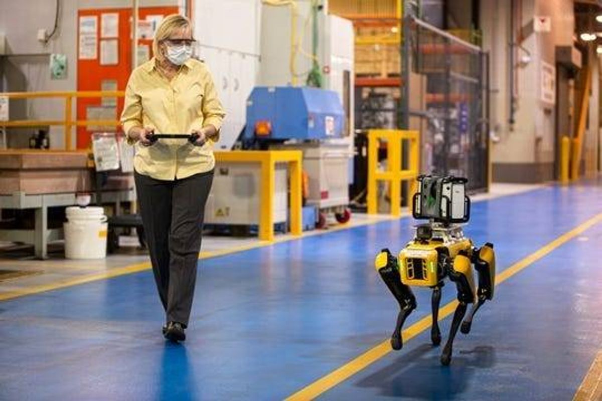 Ford hires a robot dog