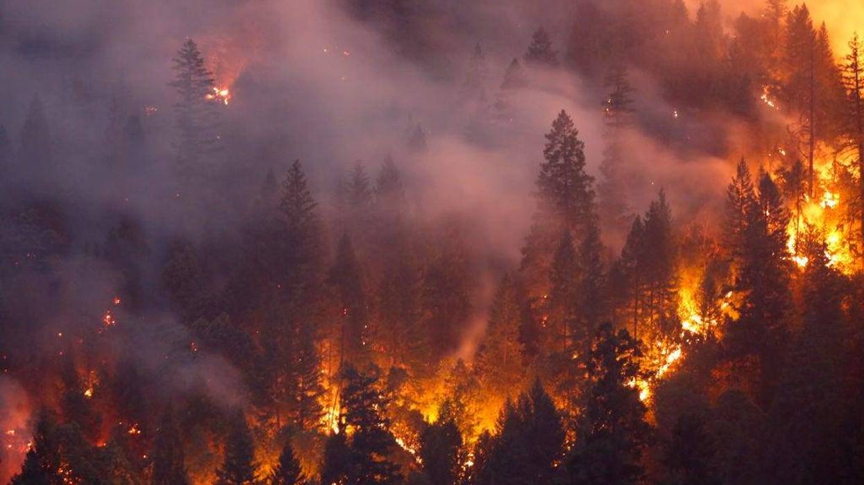 Forest burns in the Carr Fire on July 30, 2018 west of Redding, California.