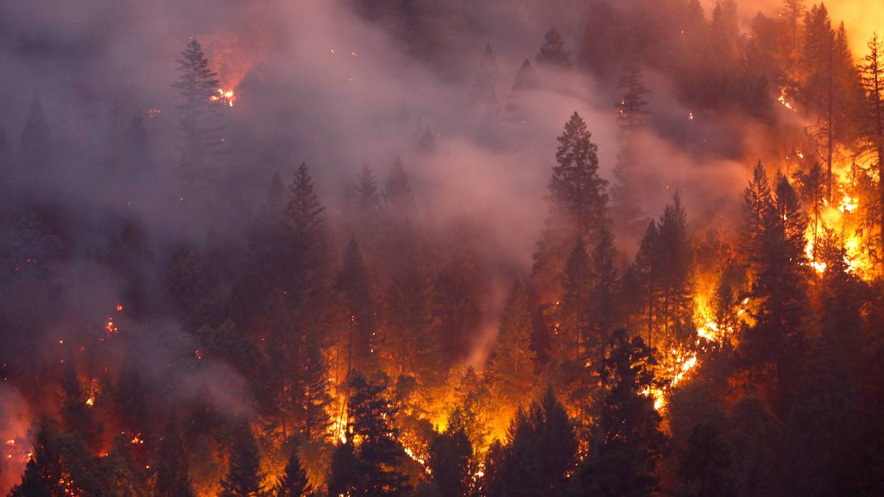 forest fire burns