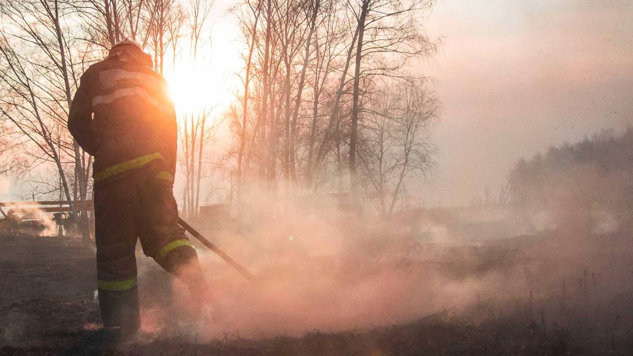 Forest fire stock photo.