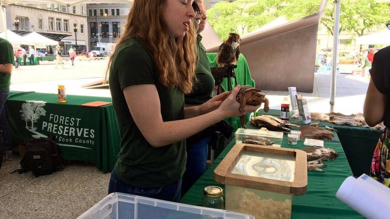 Forest Preserves Host 'Live Healthy, Discover Nature' Event In Daley Plaza