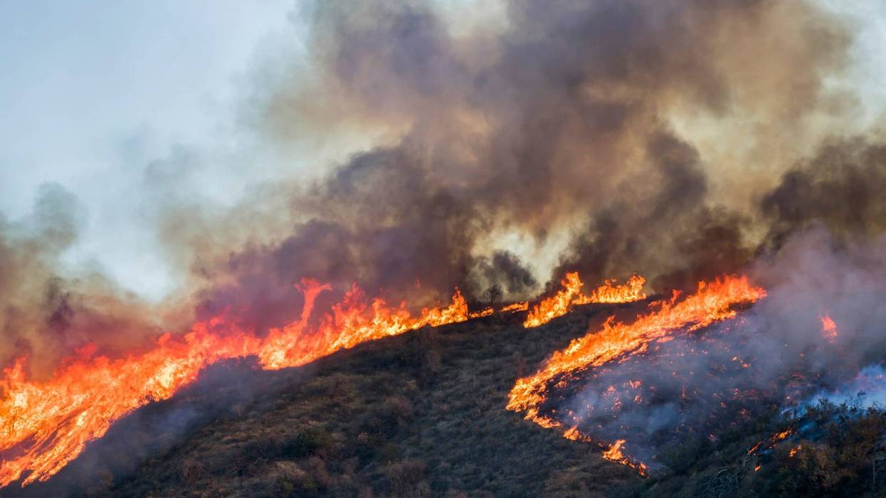 Fort Worth fire crew returns from battling wildfires