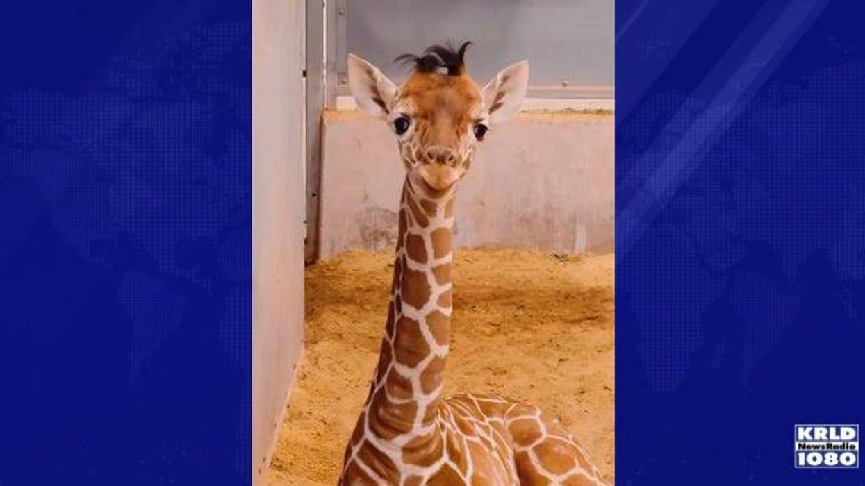 Fort Worth Zoo