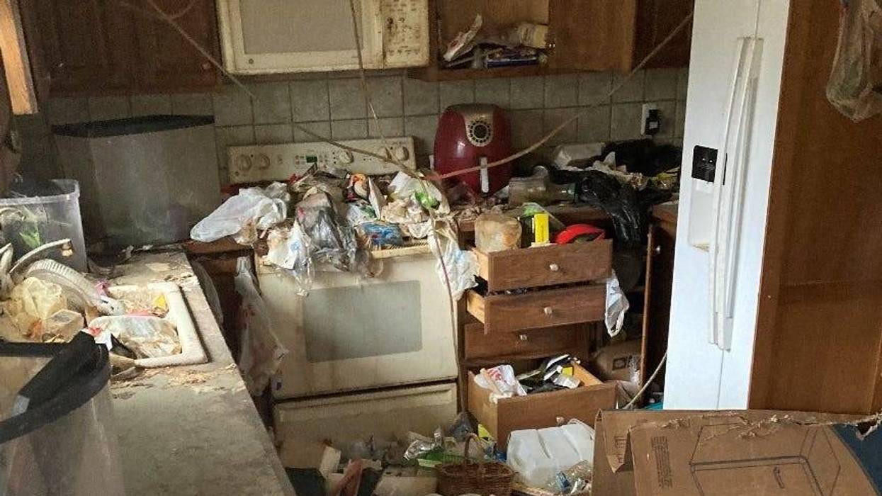 Four dogs were rescued and authorities are working to capture nearly a dozen cats from a hoarding situation at a Livingston County home.