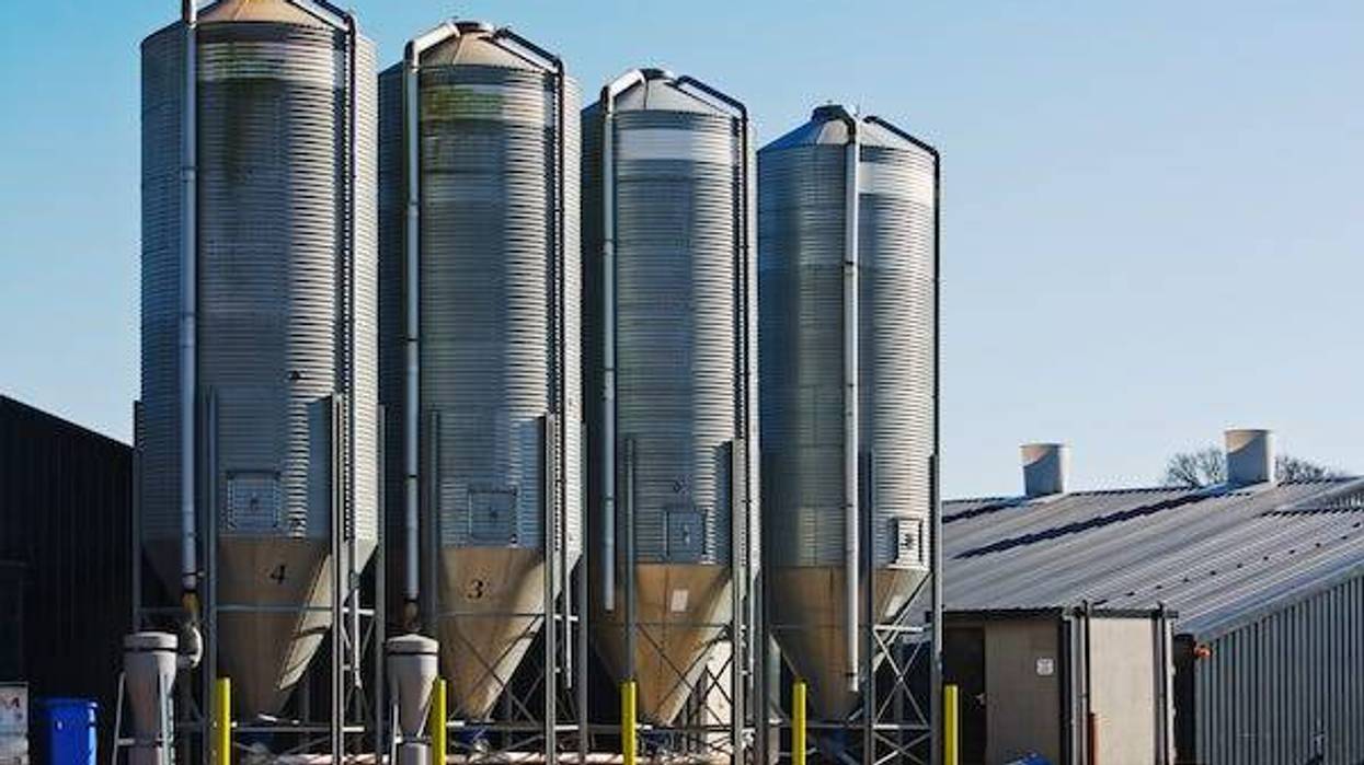 Four grain storage silos surrounded by buildings