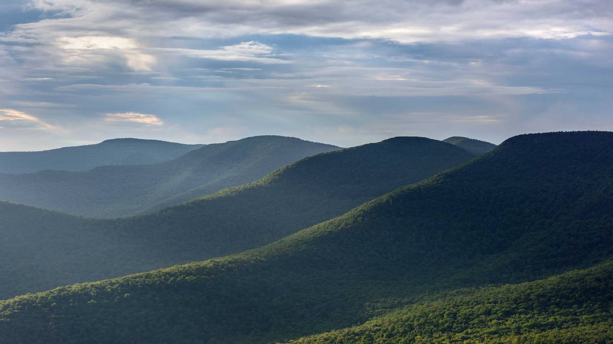 Four hikers were rescued after they got lost in the Catskills while tripping on psychedelic shrooms, officials said