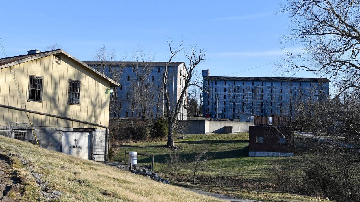 Four Roses Bourbon-Sale