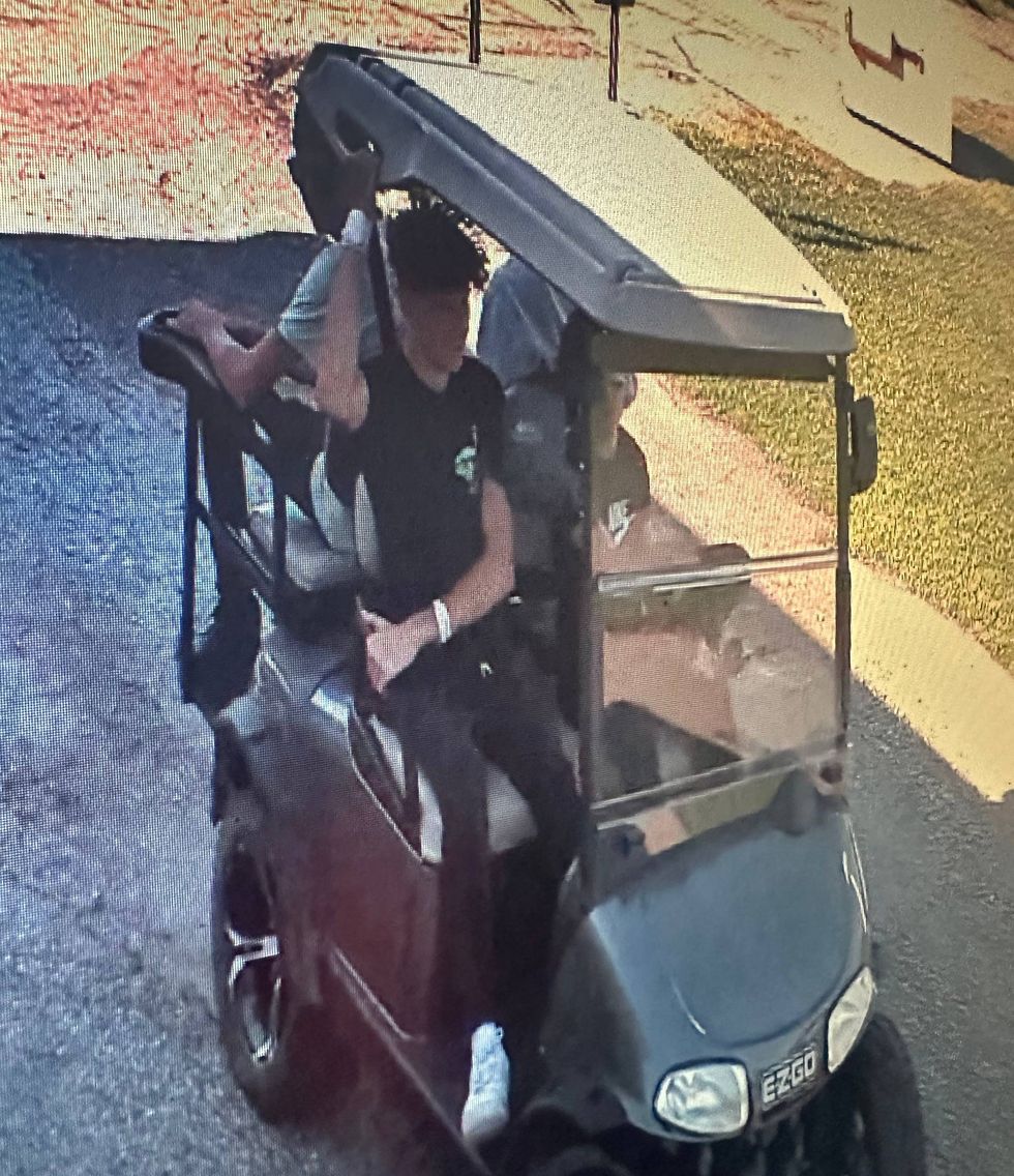 Four suspects are being sought in Macomb County after police say they used a golf cart and four-wheelers to cause damage to a baseball field two days in a row.