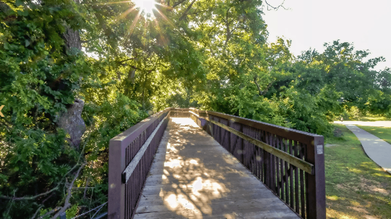 Fourth-grader bitten by snake during Grapevine field trip at Parr Park