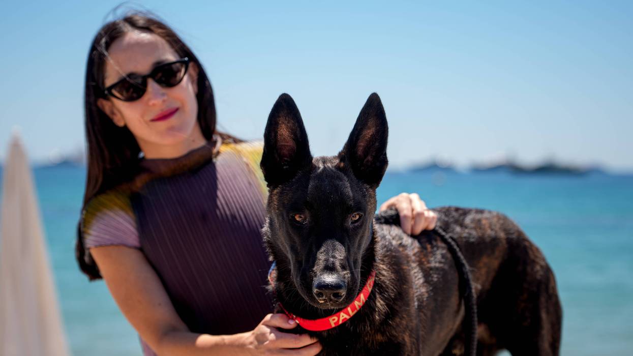 France Cannes 2 26 Palm Dog
