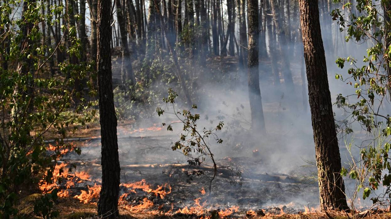 France Wildfires
