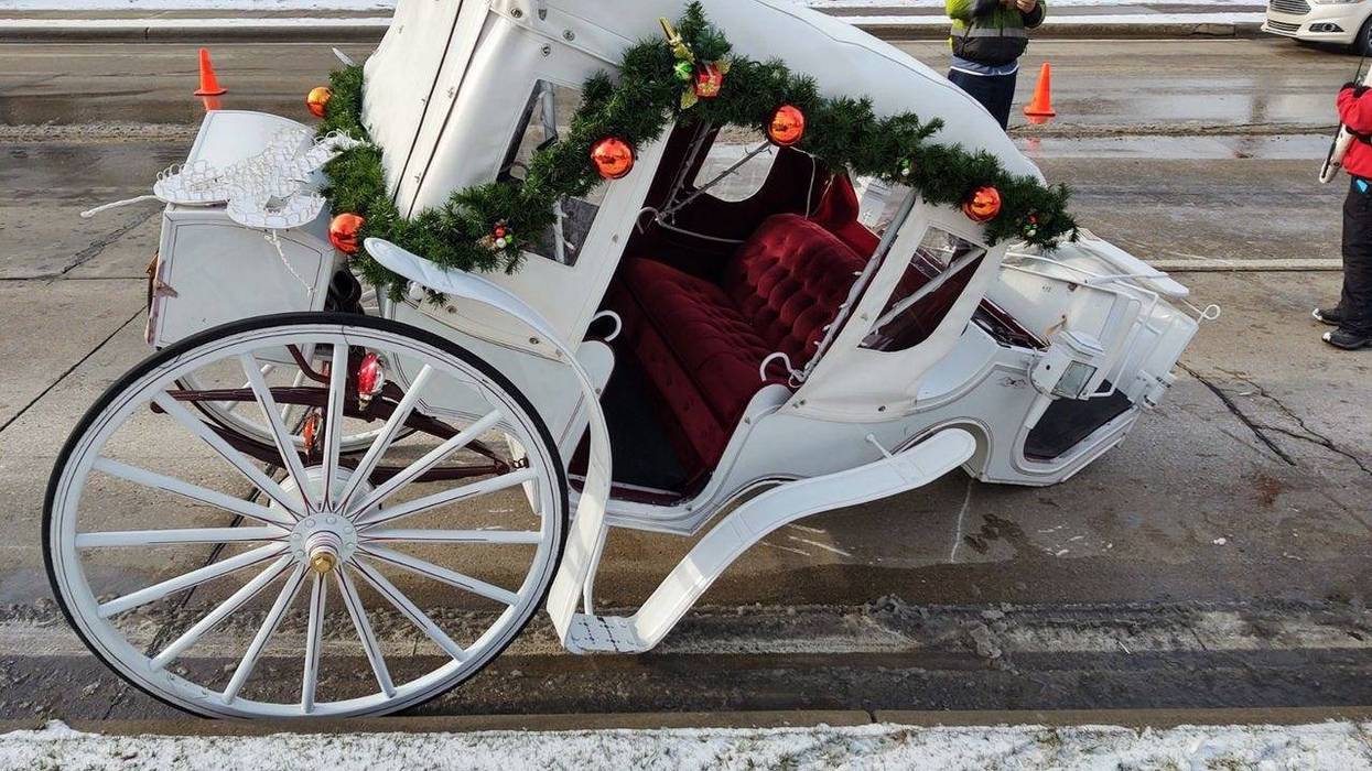 Frankenmuth carriage hit-and-run