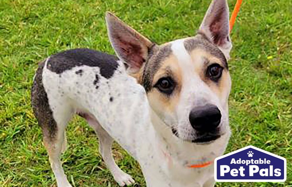Freeway