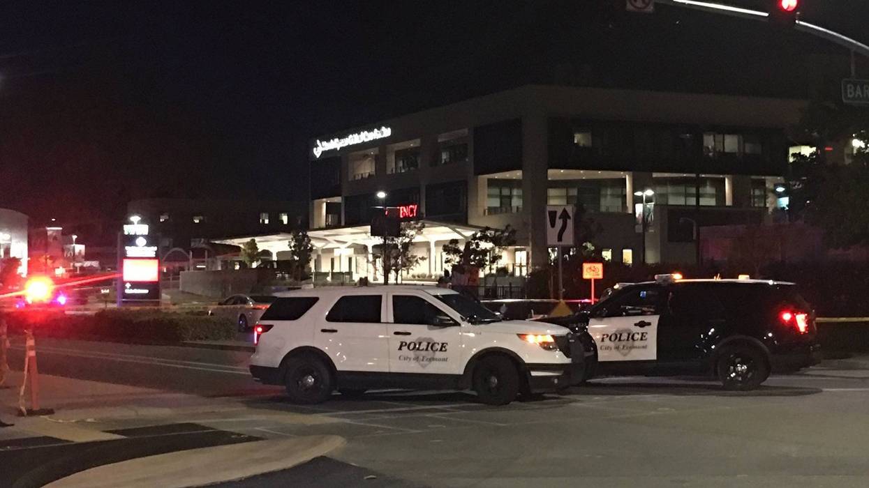 Fremont police vehicles