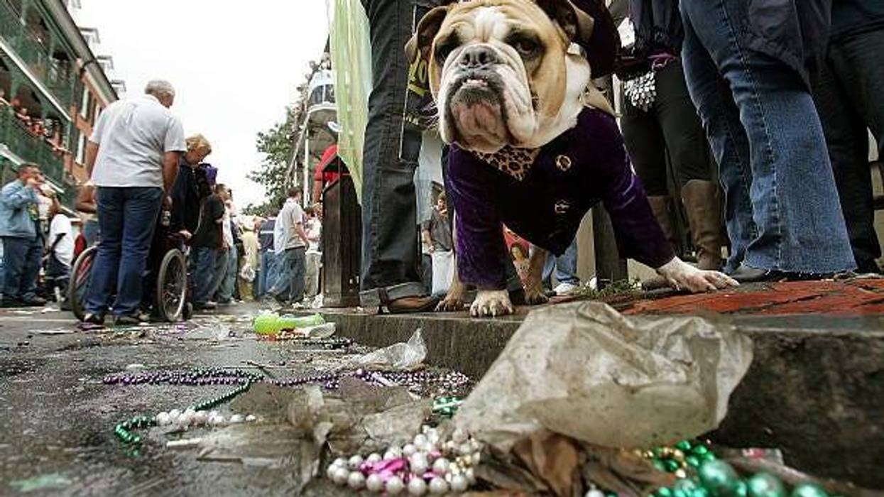 French Quarter Trash Pickup