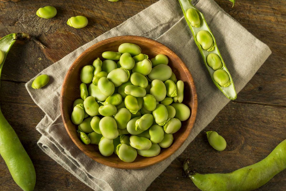 Fresh Green Fava Beans.