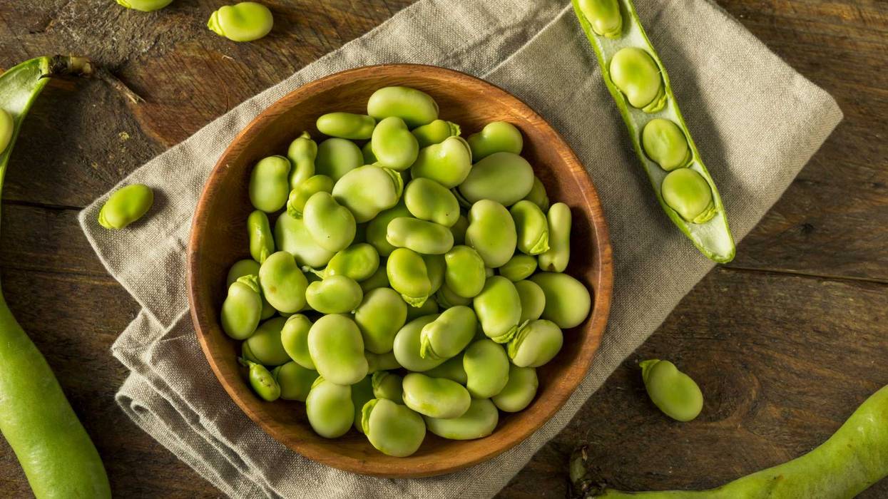 Fresh Green Fava Beans.