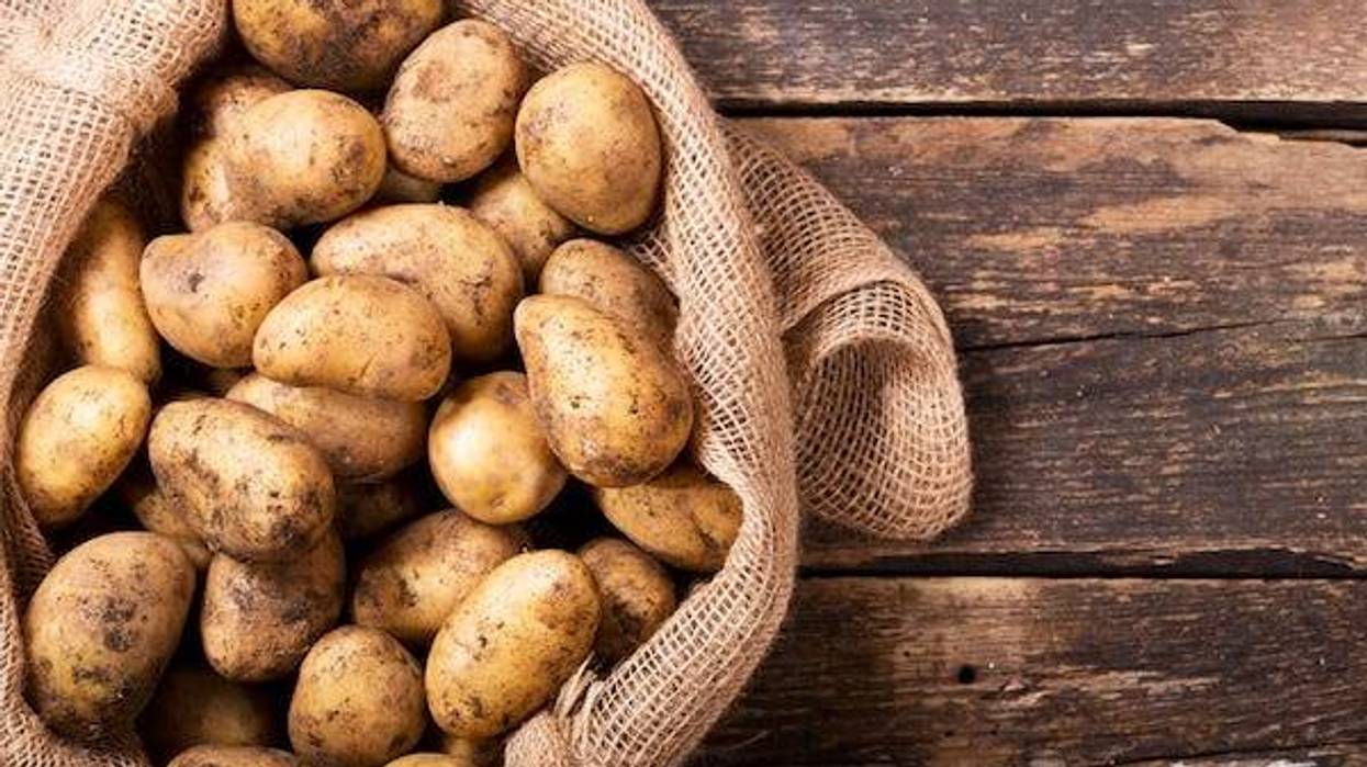 Fresh potatoes in sack on wooden table